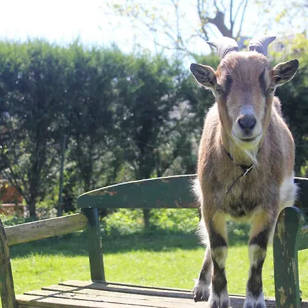 Nr 4 Appartamento Hinrichsdorf